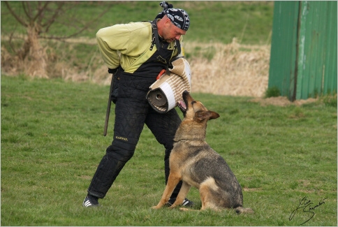 Training in Prague - 2. 4. 2008